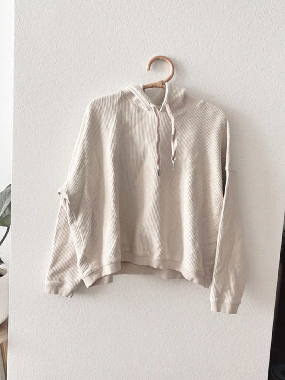 GC Aerie Hoodie